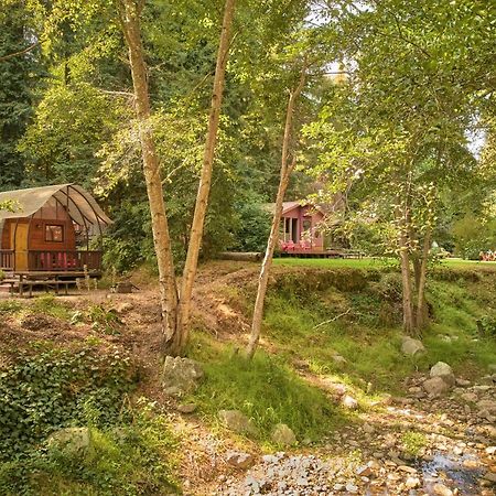 Big Sur Campground And Cabins Eksteriør bilde