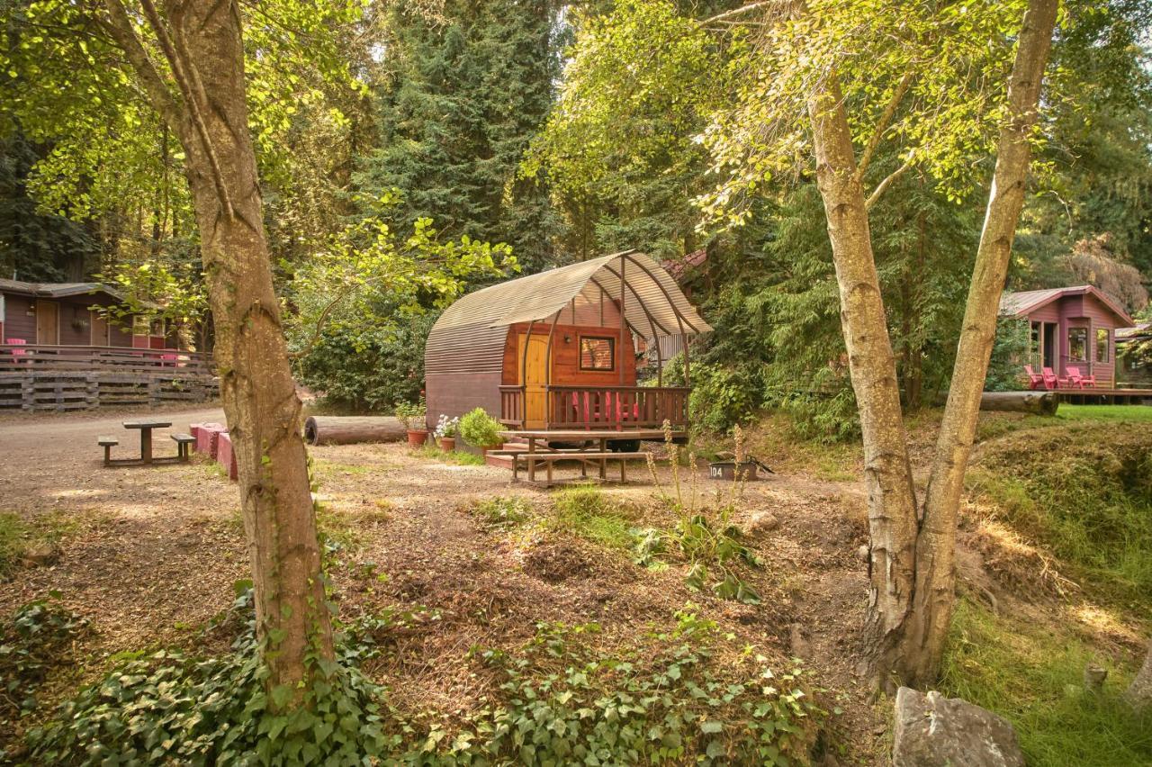 Big Sur Campground And Cabins Eksteriør bilde